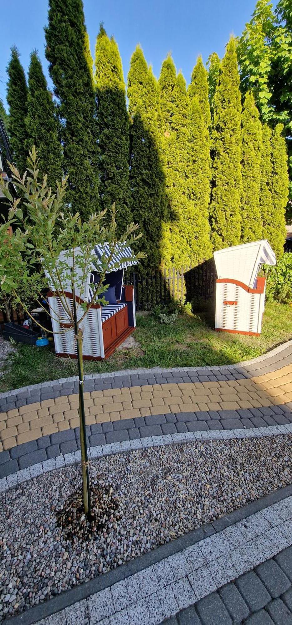 Apartamento Przystan Wladek Władysławowo Exterior foto